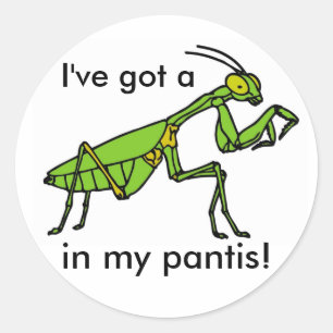 Mantis in meinem Pantis! Runder Aufkleber