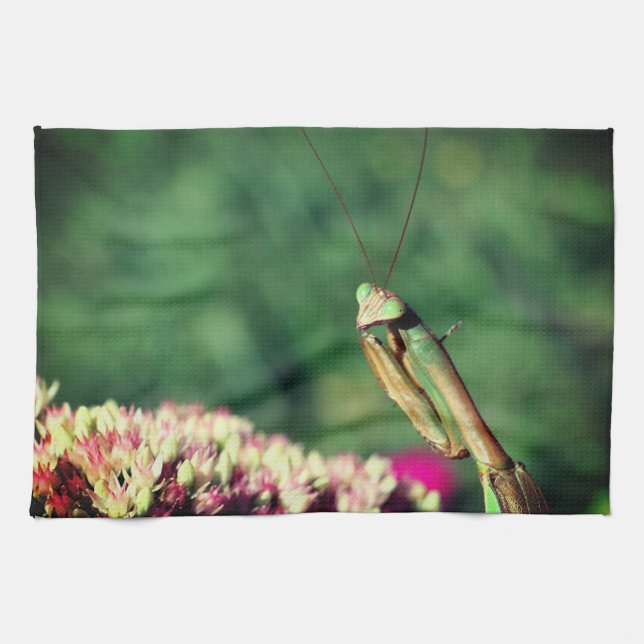 Mantis Nah beten   Geschirrtuch (Horizontal)