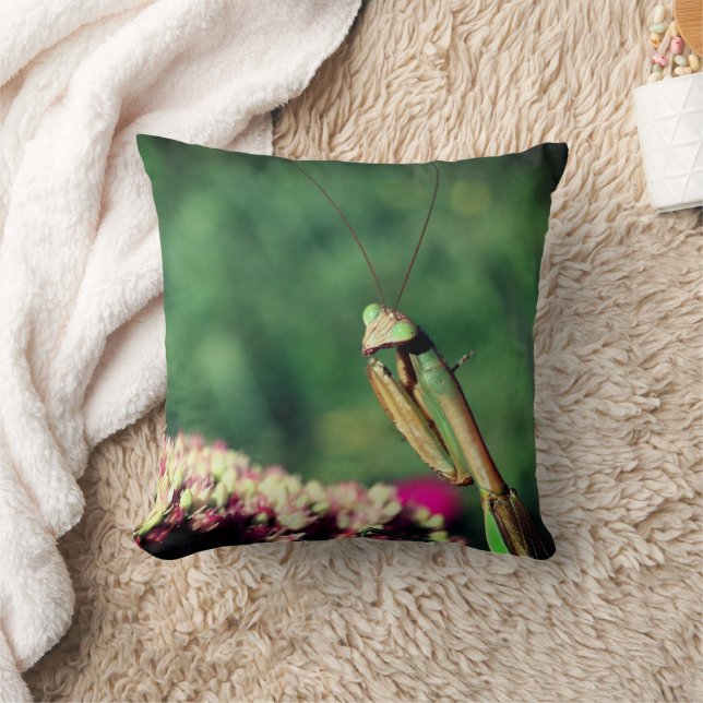Mantis Nah beten Kissen (Decke)