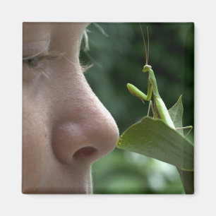 Mantis religiosa magnet