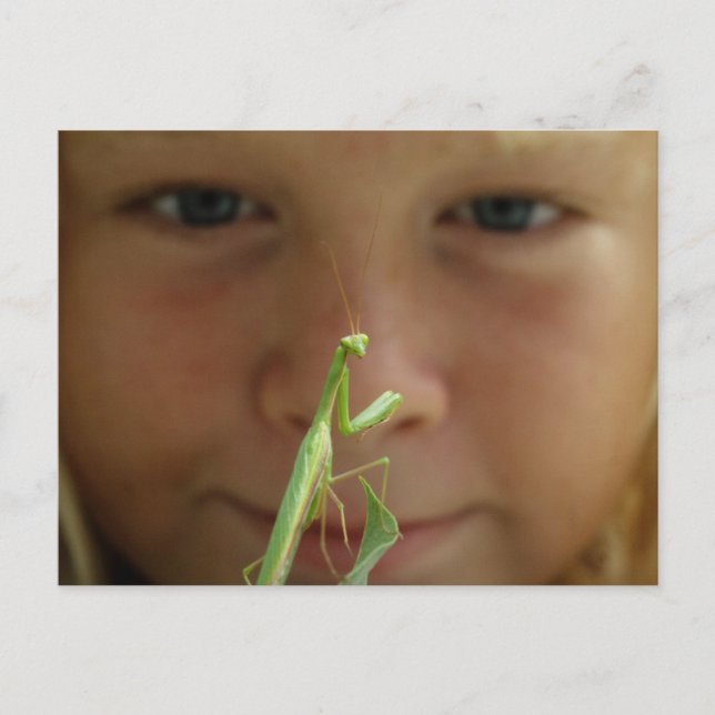 Mantis religiosa postkarte (Vorderseite)