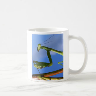 Mantis-Tasse Kaffeetasse