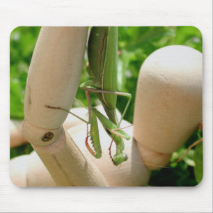 Mantis zum Beten, die sich verändern Mousepad