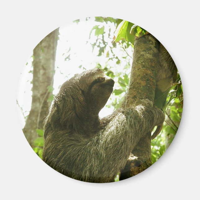 Manuel Antonio Magnet (Vorne)