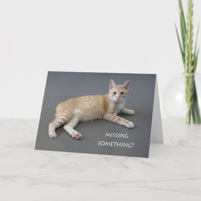 Manx Cat Birthday Card nach Fokus für eine Sache Karte (Vorderseite)