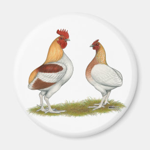 Manx Rumpies Magnet