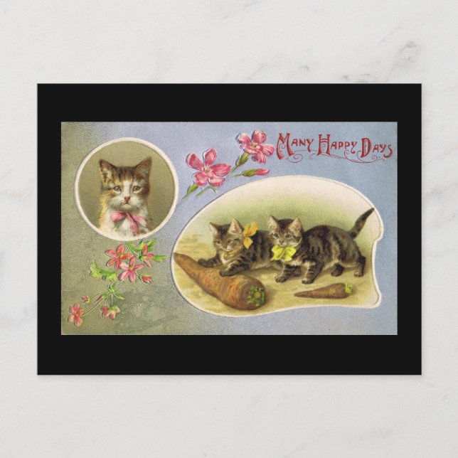 Many Happy Days Postkarte (Vorderseite)