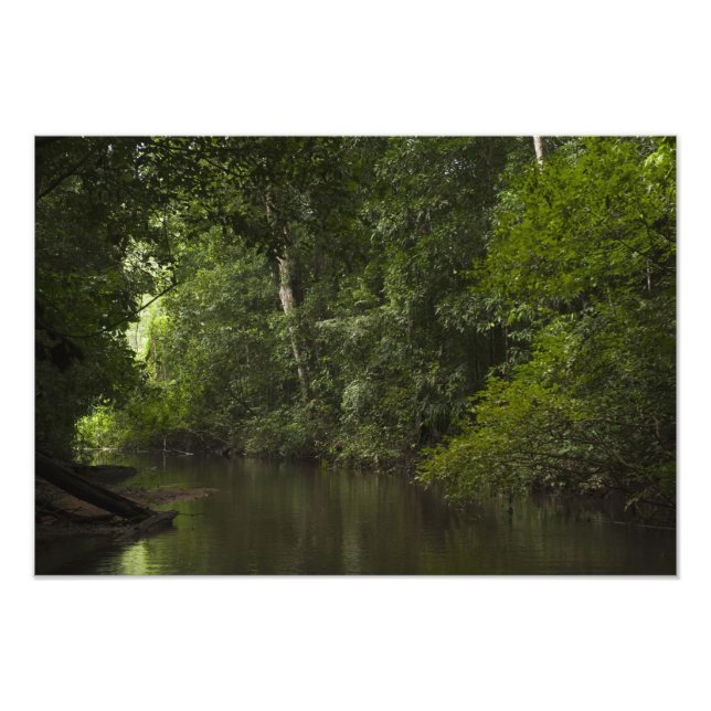 Mapari-Fluss, Mapari Rupununi, Guyana. Fotodruck (Vorne)