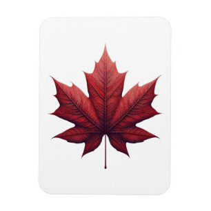 Mapel Leaf Magnet
