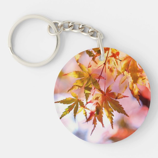 Maple Feuille Landscape Design-21355 (Devant)