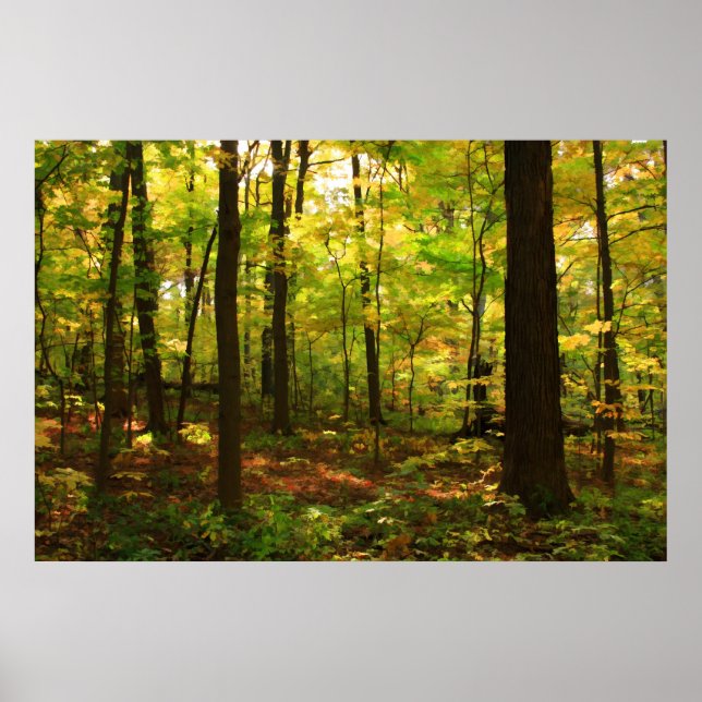 "Maple Forest" Poster (Vorne)