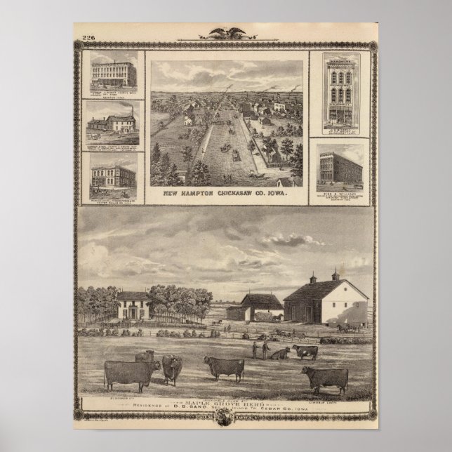 Maple Grove Herd, Cedar Co New Hampton Poster (Vorne)