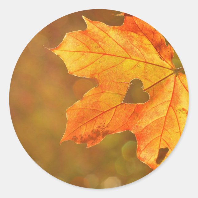 Maple Leaf Heart Runder Aufkleber (Vorderseite)