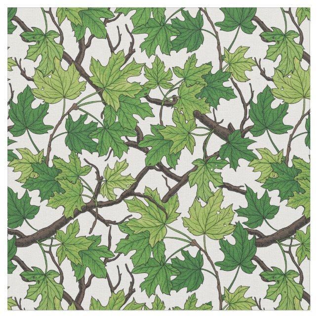 Maple leaves on white stoff (Nahaufnahme)