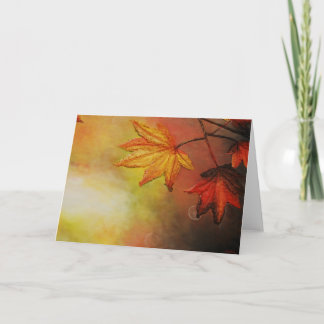 Maple Morn Grußkarten von Artist Alison Galvan Karte