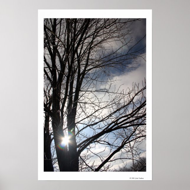 Maple Sky Poster (Vorne)