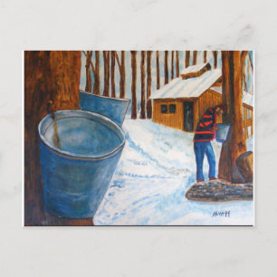 Maple Sugar Bush Postkarte
