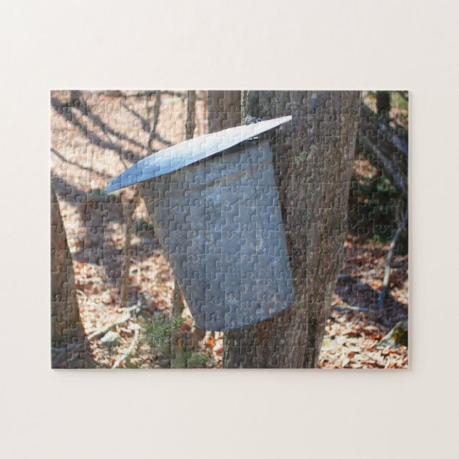 Maple Sugar Sap Bucket On Tree Nature  (Horizontal)