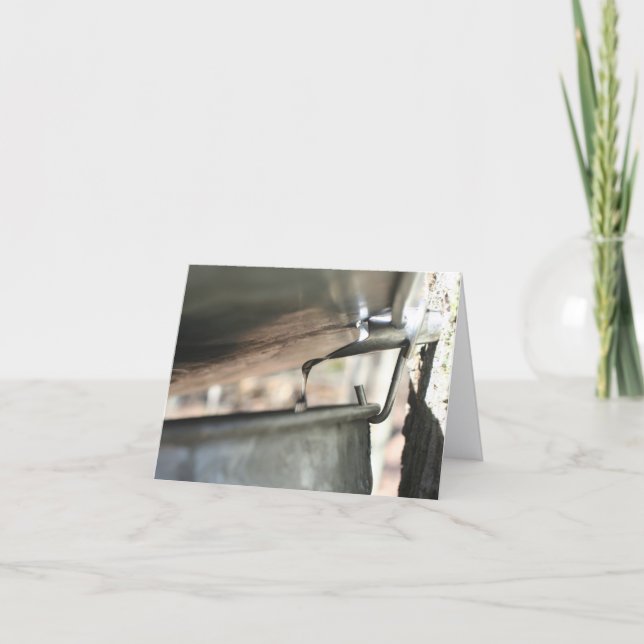 Maple Syrup Sap Running Nature Personalized (Devant)