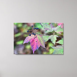 Mapleleaf Viburnum Herbstleaves und Berries Leinwanddruck