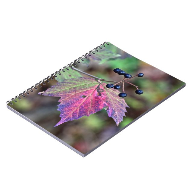 Mapleleaf Viburnum Herbstleaves und Berries Notizblock (Linke Seite)