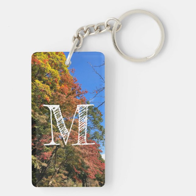 Maples colorées vives (Dos)