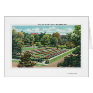 Maplewood Park Rose Garden View