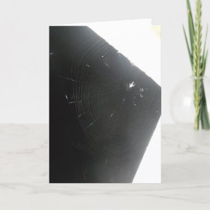 "Maplewood Spider" Genesungskarte Karte