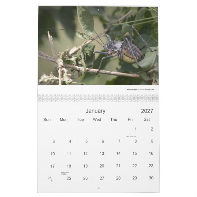 Mapungubwe NP RSA wild lebende Tiere 2011/12 Kalender (Jan 2027)