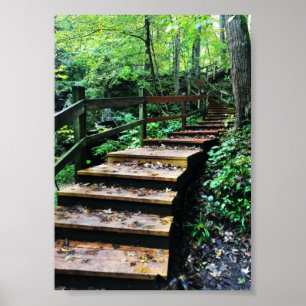 Maquoketa Höhlen Staat Parktreppe Poster