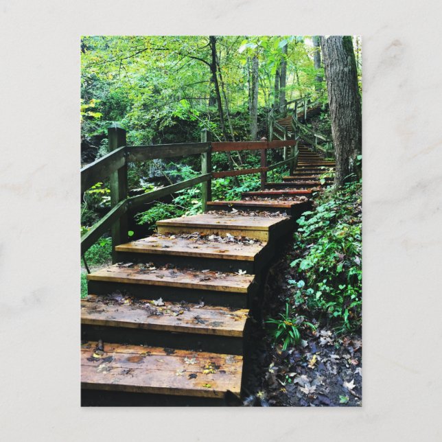 Maquoketa Höhlen Staat Parktreppe Postkarte (Vorderseite)