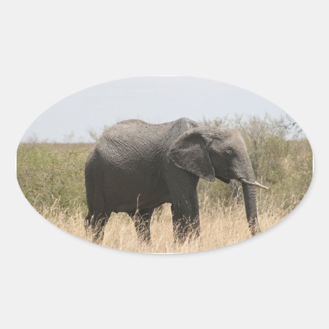 Maraelefant Ovaler Aufkleber (Vorderseite)