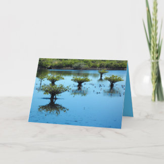 Marais de sel avec la carte de voeux de