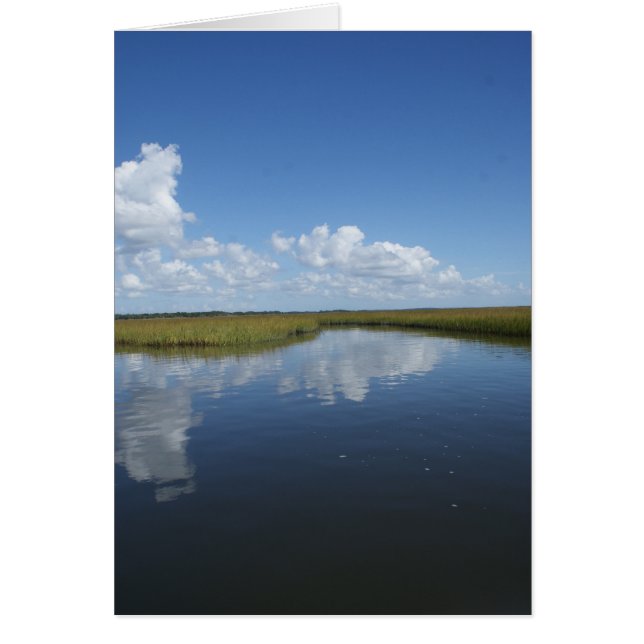 Marais mûr (Devant)