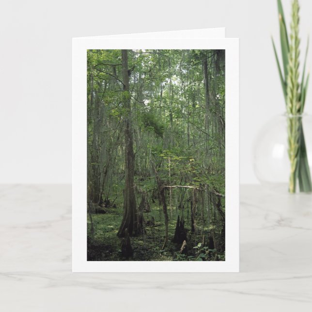 Marais Serenity Personnalisé Louisiane Cartes de v (Devant)