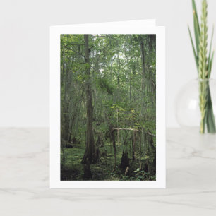 Marais Serenity Personnalisé Louisiane Cartes de v