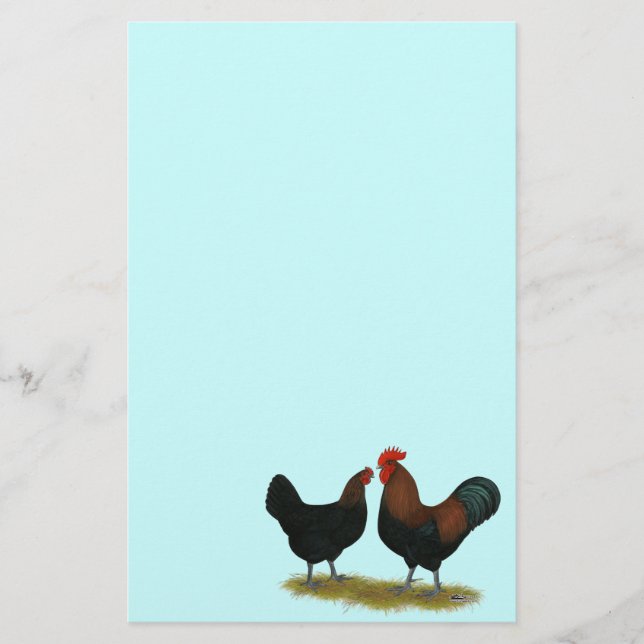 Marans Black Copper Briefpapier (Vorderseite)