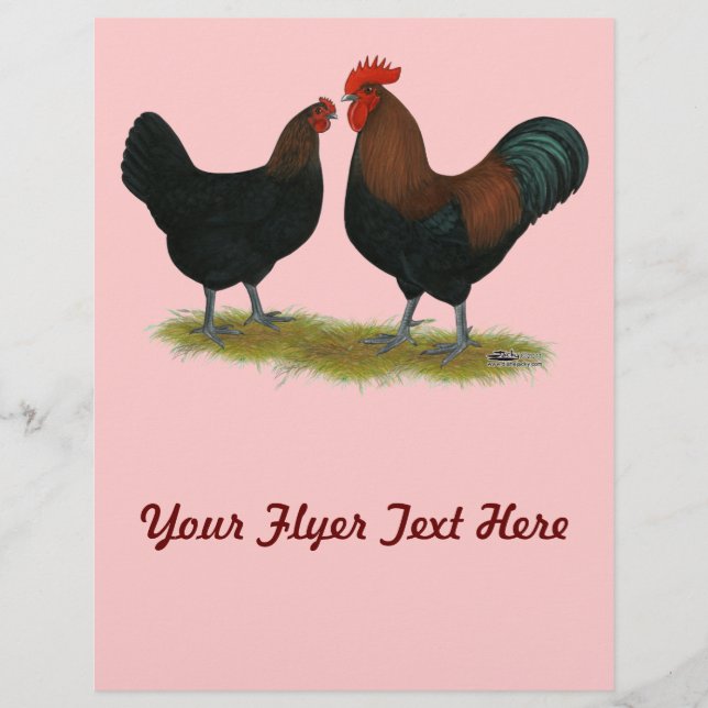 Marans Black Copper Flyer (Vorne)