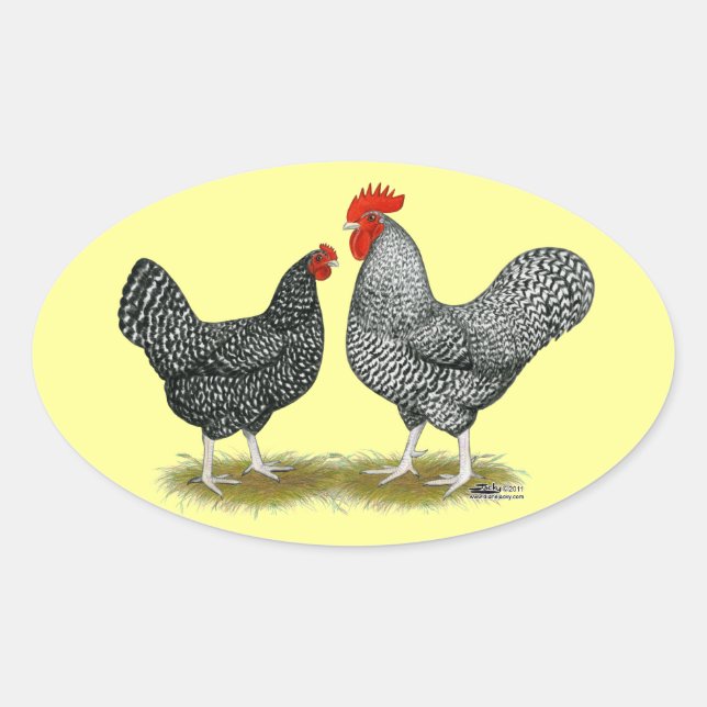 Marans: Cuckoo Pair Ovaler Aufkleber (Vorderseite)
