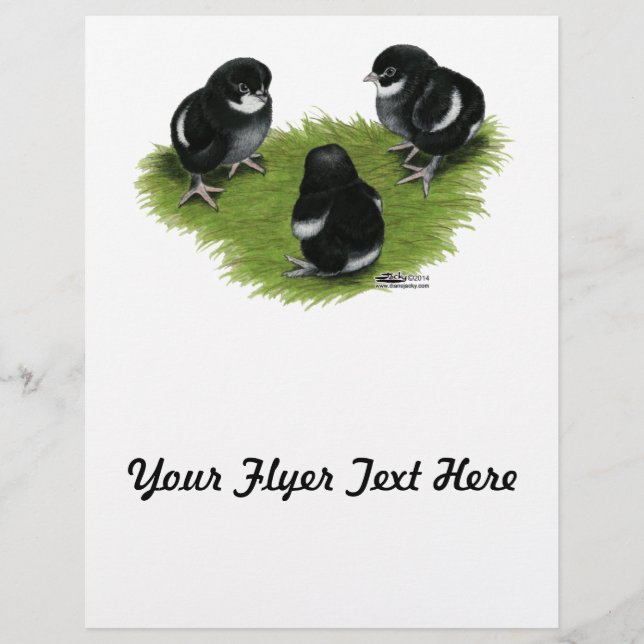 Marans Schwarz Kupfer Küken Flyer (Vorne)
