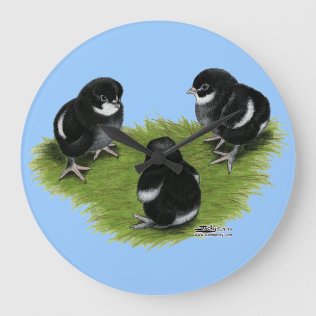 Marans schwarze kupferne Küken Große Wanduhr (Vorderseite)