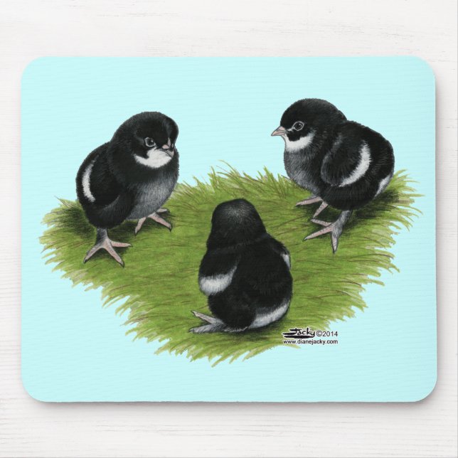 Marans schwarze kupferne Küken Mousepad (Vorne)