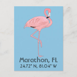 Marathon FL Keys Flamingo Breitengrad Postkarte