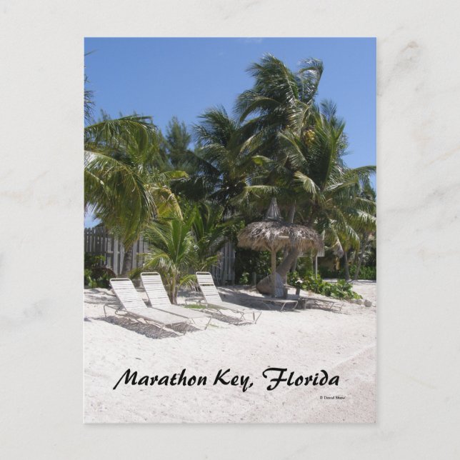Marathon Key, Florida Postkarte (Vorderseite)