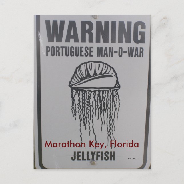 Marathon Key, Florida Postkarte (Vorderseite)