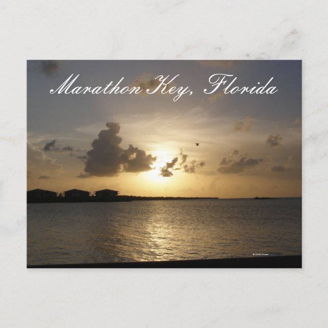 Marathon Key, Florida Postkarte (Vorderseite)