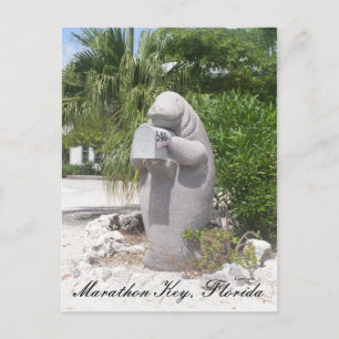 Marathon Key, Florida Postkarte