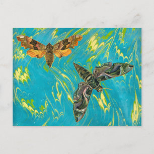 Marble Moth Postcard Postkarte