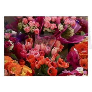 Marché aux fleurs sud-africains