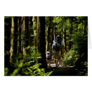 Marche dans les bois